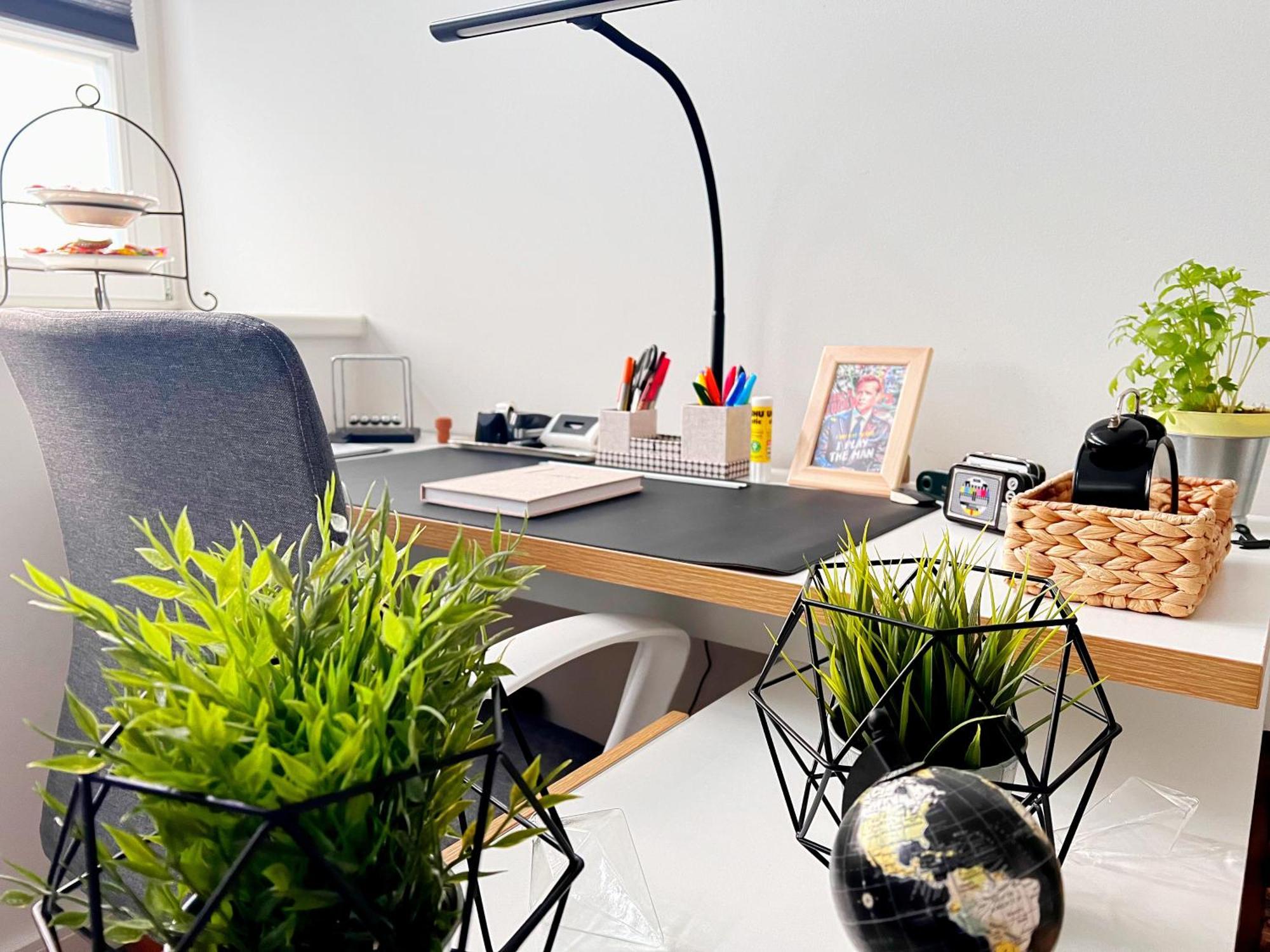 Nerd - Gaestezimmer In Alter Garage Homestay *